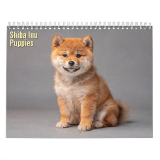 Shiba Inu Pups 2027 Agenda Kalender