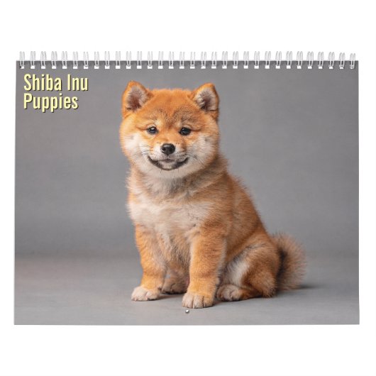 Shiba Inu Pups 2027 Agenda Kalender (Hoes)