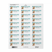 Shiba Inu Return Address Labels (Full Sheet)