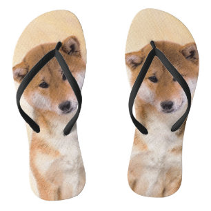 Shiba Inu (rood) schilderen - Oorspronkelijke hond Teenslippers