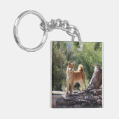 Shiba Inu Sleutelhanger (Voorkant Links)
