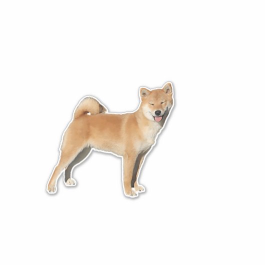 Shiba Inu Smile Sticker (Voorkant)