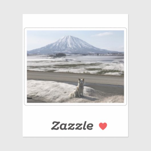 Shiba Inu Sticker (Vel)