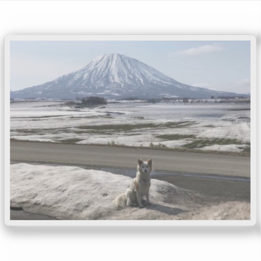 Shiba Inu Sticker (Voorkant)