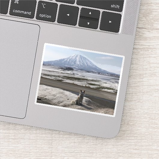 Shiba Inu Sticker (Detail)