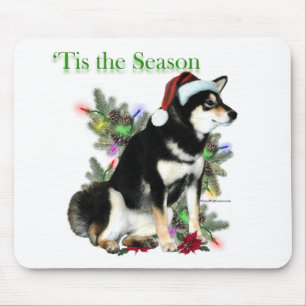 Shiba Inu "Tis Muismat