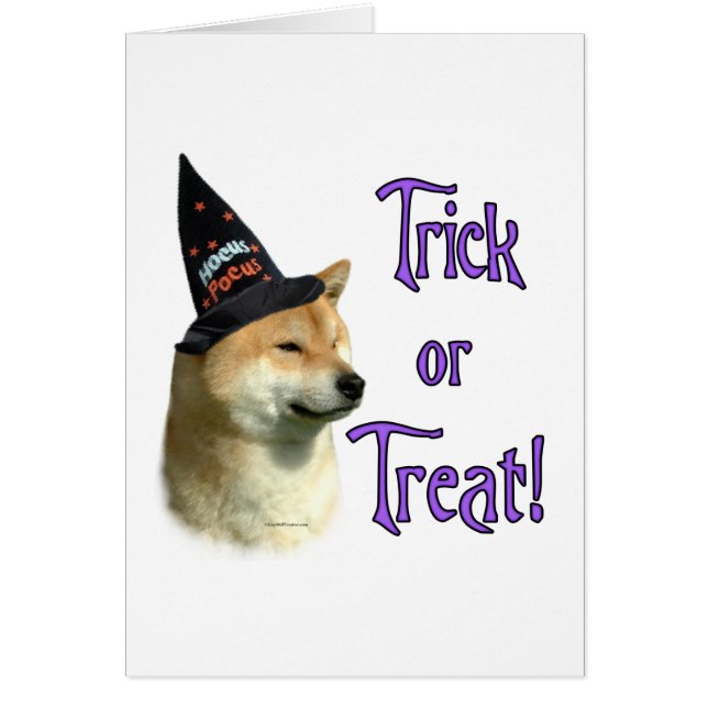Shiba Inu Trick (Voorkant)