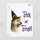 Shiba Inu Trick Briefkaart (Voorkant / Achterkant)