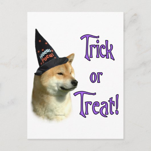 Shiba Inu Trick Briefkaart (Voorkant)