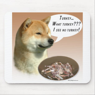 Shiba Inu Turkey Muismat