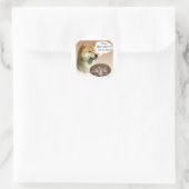 Shiba Inu Turkije Ronde Sticker (Tas)