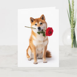 Shiba Inu Valentijnsdag – Stille Toewijding Kaart