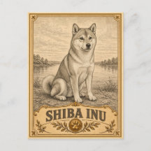 Shiba Inu, Vintage Heritage Hond