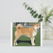 Shiba Inu volledig Briefkaart (Staand voorkant)
