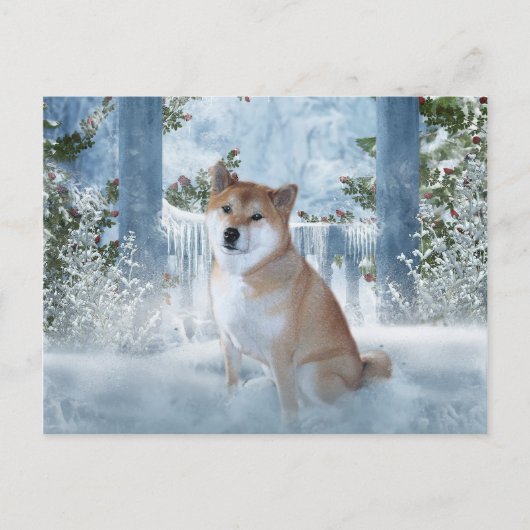 Shiba Inu Winter Briefkaart (Voorkant)