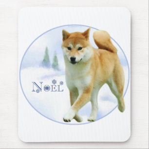 Shiba Noel Muismat