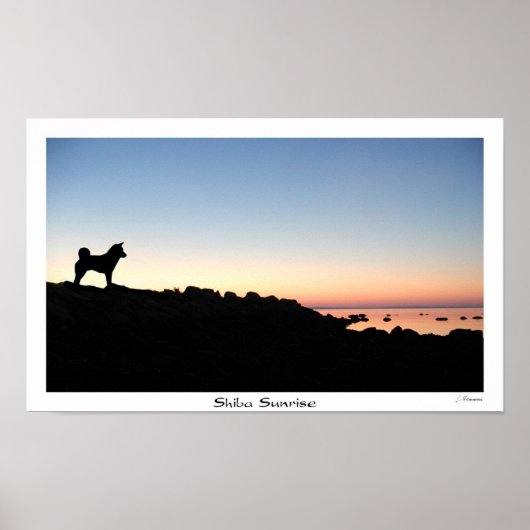 Shiba Sunrise Poster (Voorkant)