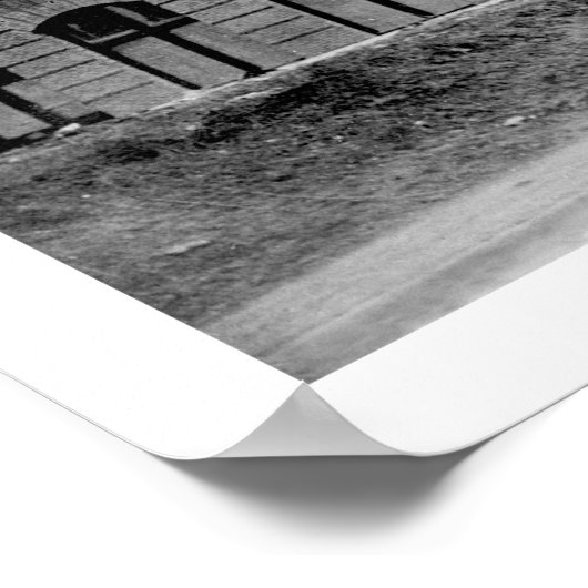 Shibe Park Baseball 1913 Poster (Hoek)