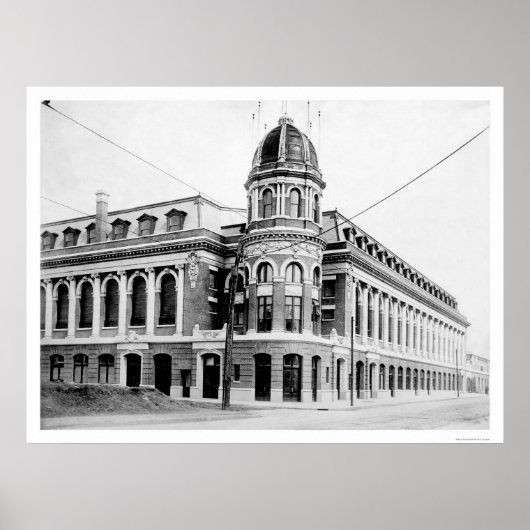 Shibe Park Baseball 1913 Poster (Voorkant)