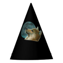 Shibu Inu hond kijkt naar de maan