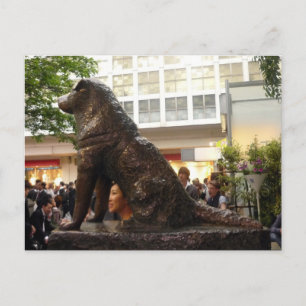 shibuya hachiko zit te zitten briefkaart