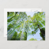 Shibuya-ku, Tokio, Japan Briefkaart (Voorkant / Achterkant)