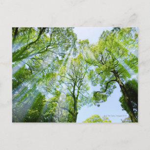 Shibuya-ku, Tokio, Japan Briefkaart