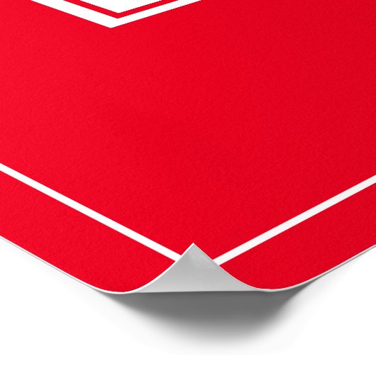 SHIELDING POSTER (Hoek)