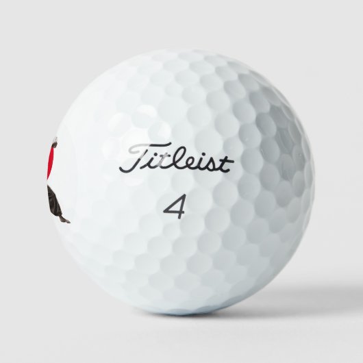 Shifu gepersonaliseerde Titleist Pro V1 golfballen (Logo)