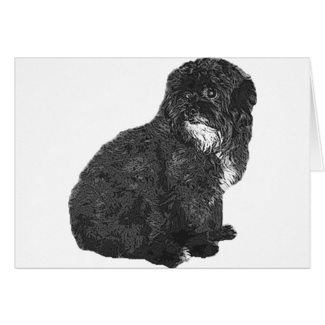 Shih Poo (Voorkant Horizontaal)