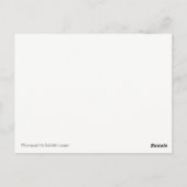 Shih Tau Girl Briefkaart (Achterkant)