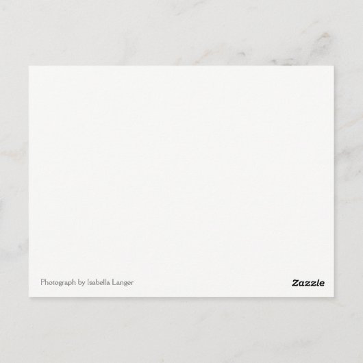 Shih Tau Girl Briefkaart (Achterkant)