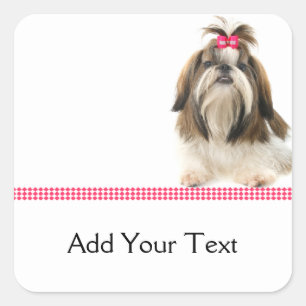 Shih Tsu met Roze Bow aan de grens met Roze Diamon Vierkante Sticker