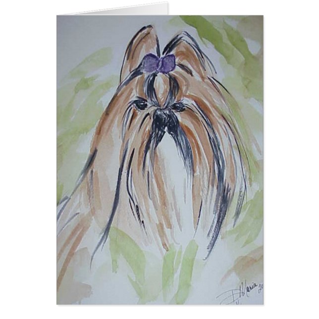 Shih Tzu (Voorkant)