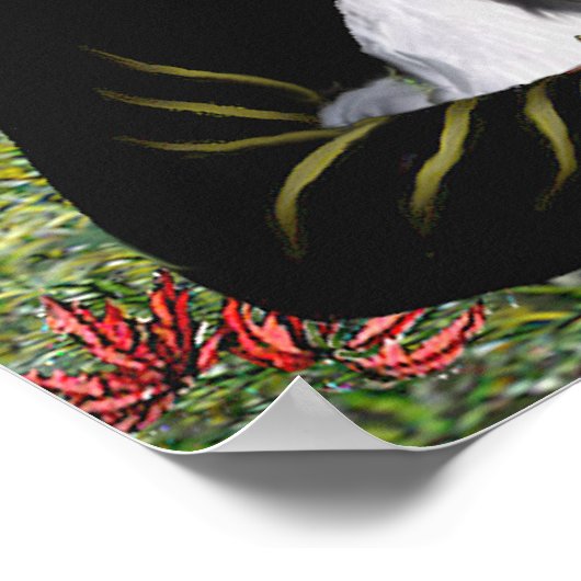 Shih Tzu (A1) - Mona Lisa Poster (Hoek)