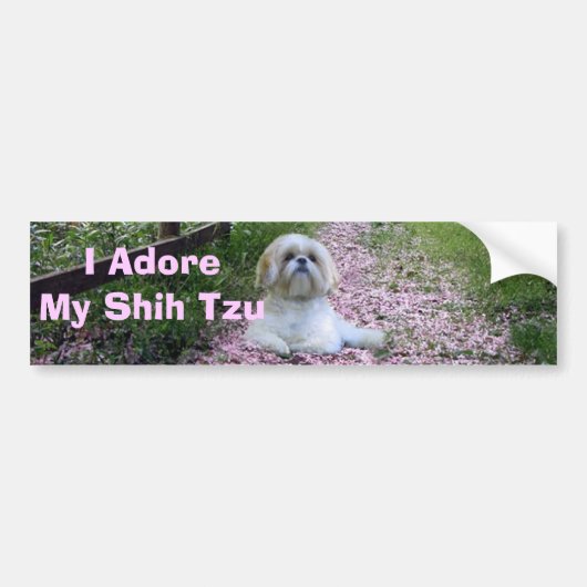 Shih Tzu Adore Bumpersticker (Voorkant)
