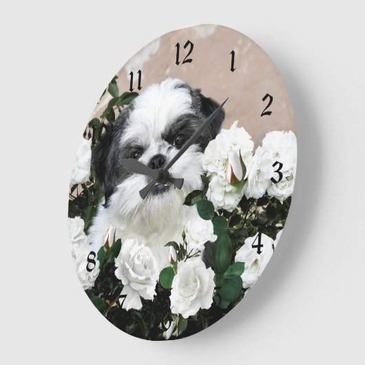 Shih Tzu and roses Grote Klok (Hoek)