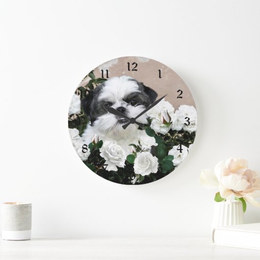 Shih Tzu and roses Grote Klok (Huis)