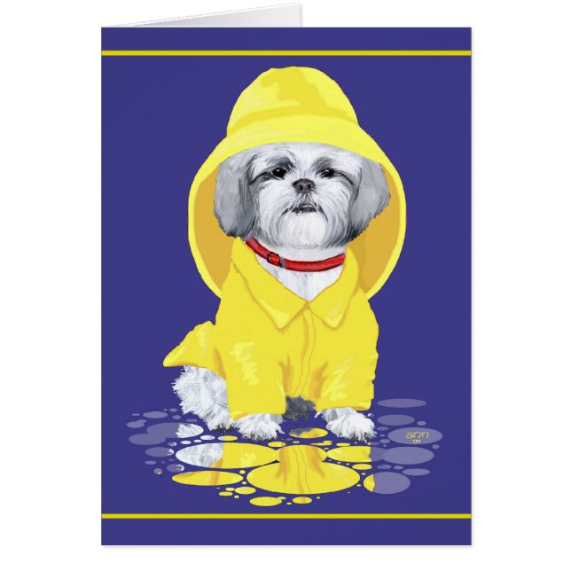 Shih Tzu April Showers (Voorkant)