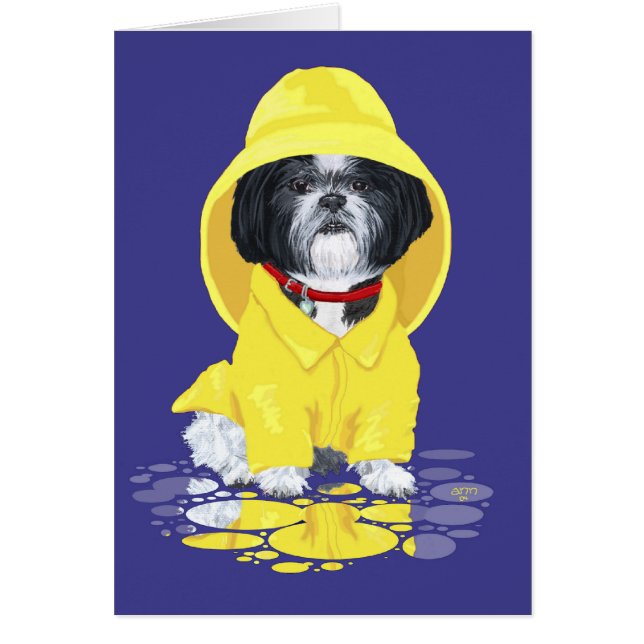 Shih Tzu April Showers (Voorkant)