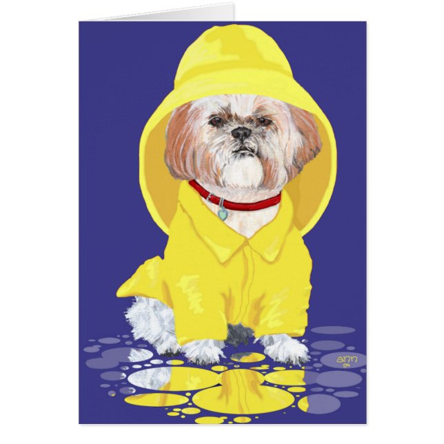 Shih Tzu April Showers (Voorkant)