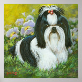 Shih Tzu Art Print op Canvas (Voorkant)