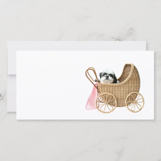 Shih Tzu baby buggy (Voorkant)