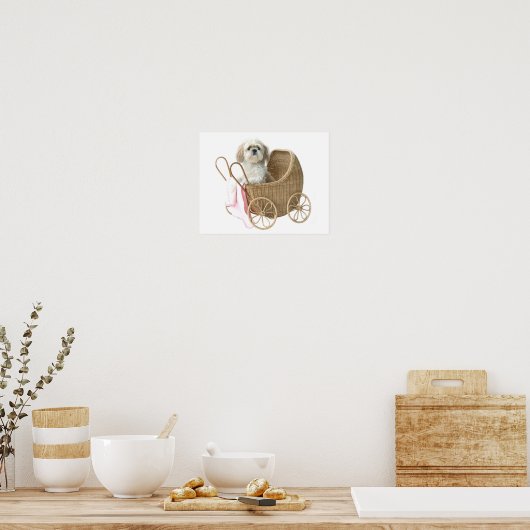 Shih Tzu baby Poster (Keuken)