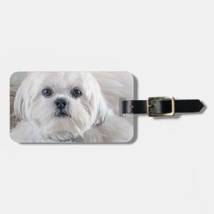 Shih Tzu Bagagelabel