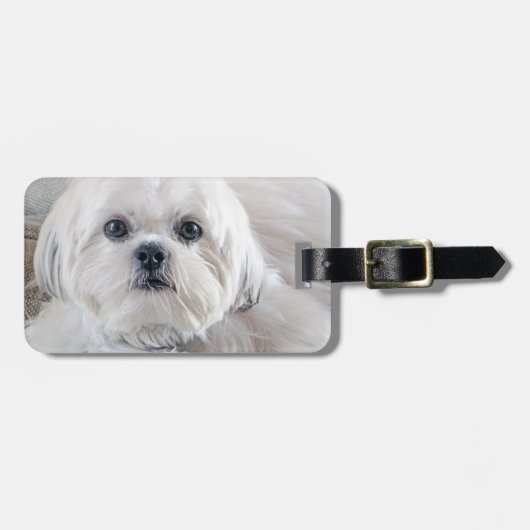 Shih Tzu Bagagelabel (Voorkant horizontaal)