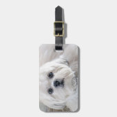 Shih Tzu Bagagelabel (Voorkant verticaal)