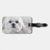 Shih Tzu Bagagelabel (Achterkant horizontaal)