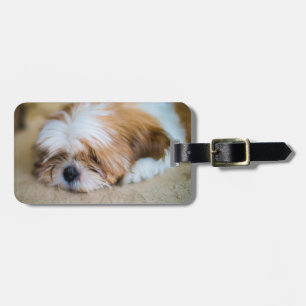 Shih Tzu Bagagelabel