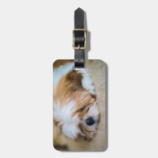 Shih Tzu Bagagelabel (Voorkant verticaal)